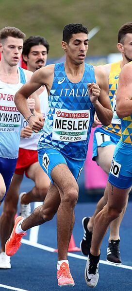 ملف:Ossama Meslek Europei Gavle.jpg