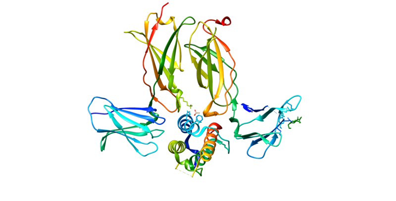 ملف:TSLP prot.png