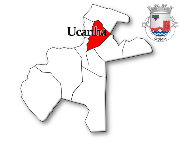 ملف:Tarouca 22.PNG