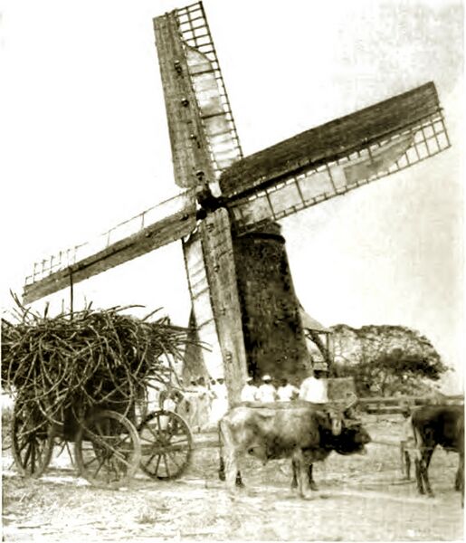 ملف:St. Nicholas-Vol 40.1-660-2.jpg