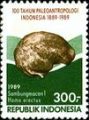 Stamp of Indonesia - 1989 - Colnect 256587 - Skull of “Sambungmacan 1”.jpeg