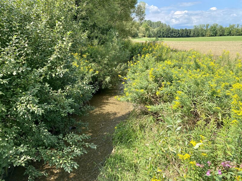 ملف:WTSB Oberschützen Willersbach 03.jpg