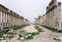 آثار أفاميا في محافظة حماة، سورية