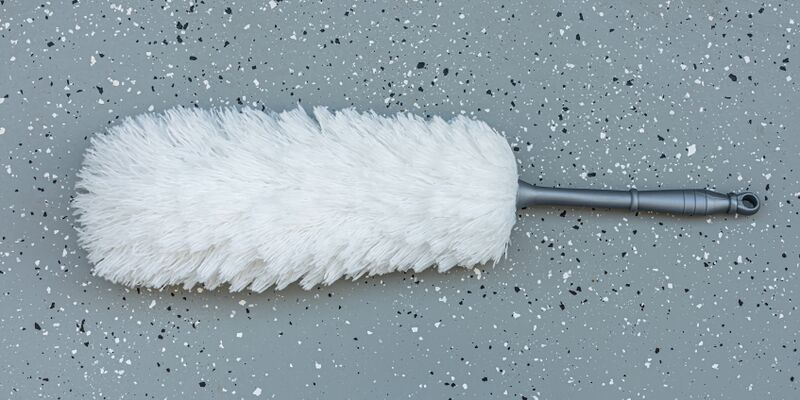 ملف:Feather duster asv2021-03.jpg