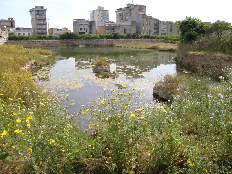 ملف:Lago maredolce.JPG
