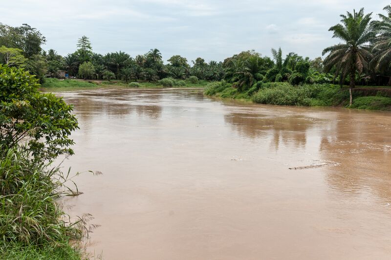 ملف:RiversOfSabah SungaiSegama-01.jpg