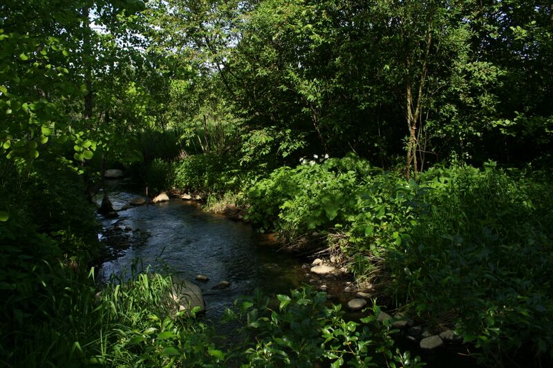 ملف:Долина реки Кикенки 01.jpg