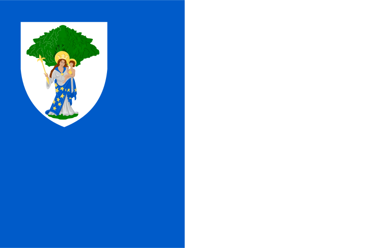 ملف:Boom vlag.svg