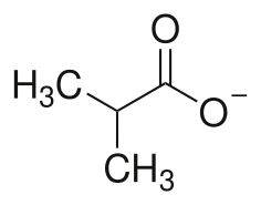 ملف:Isobutyrate-ion-2D-structure.svg