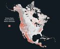 Volcanic rock in North America.