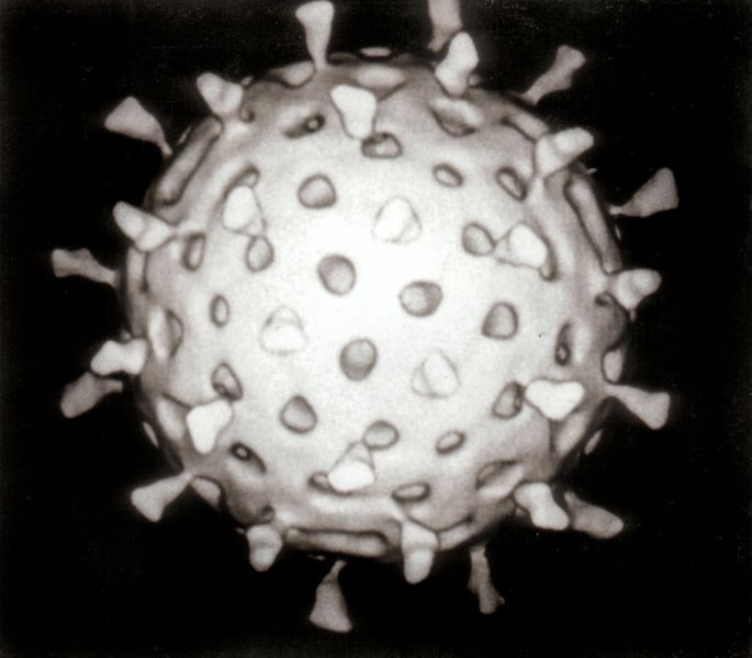 ملف:Rotavirus Reconstruction.jpg