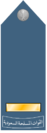 Royal Saudi Air Force -Master Sergeant shoulder insignia.png