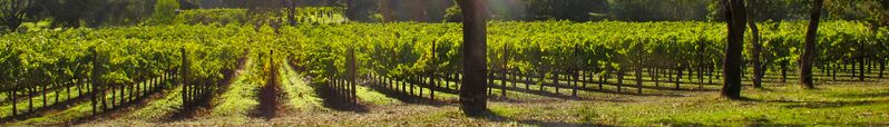 ملف:Sonoma Valley banner.jpg