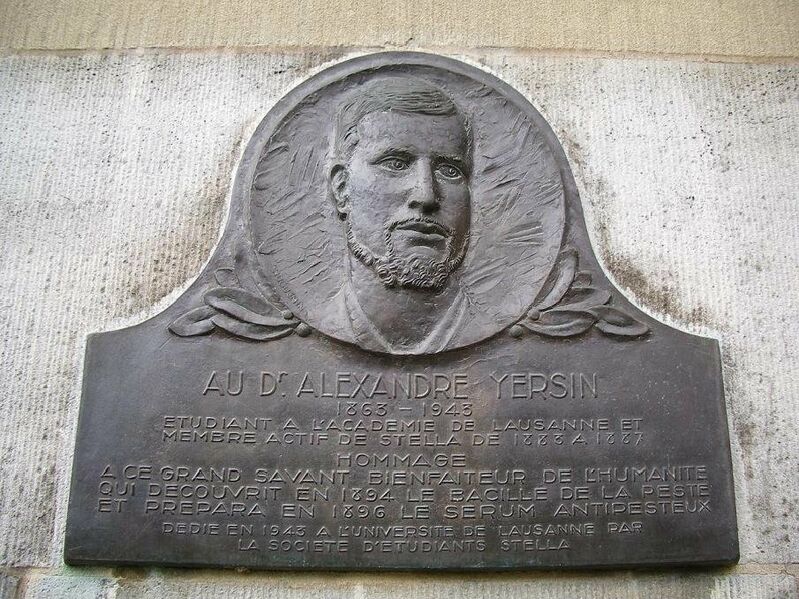 ملف:Yersin.JPG