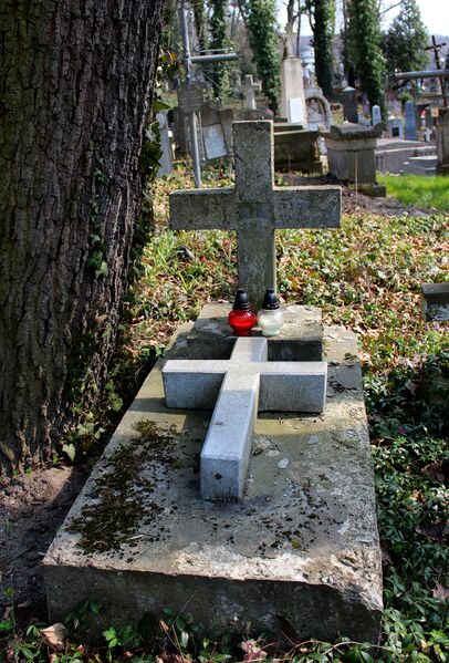 ملف:Могила Р. Менкицького..jpg