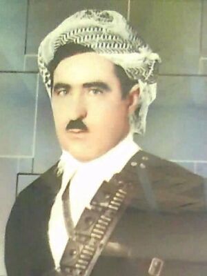 محي الدين جانكير .jpg