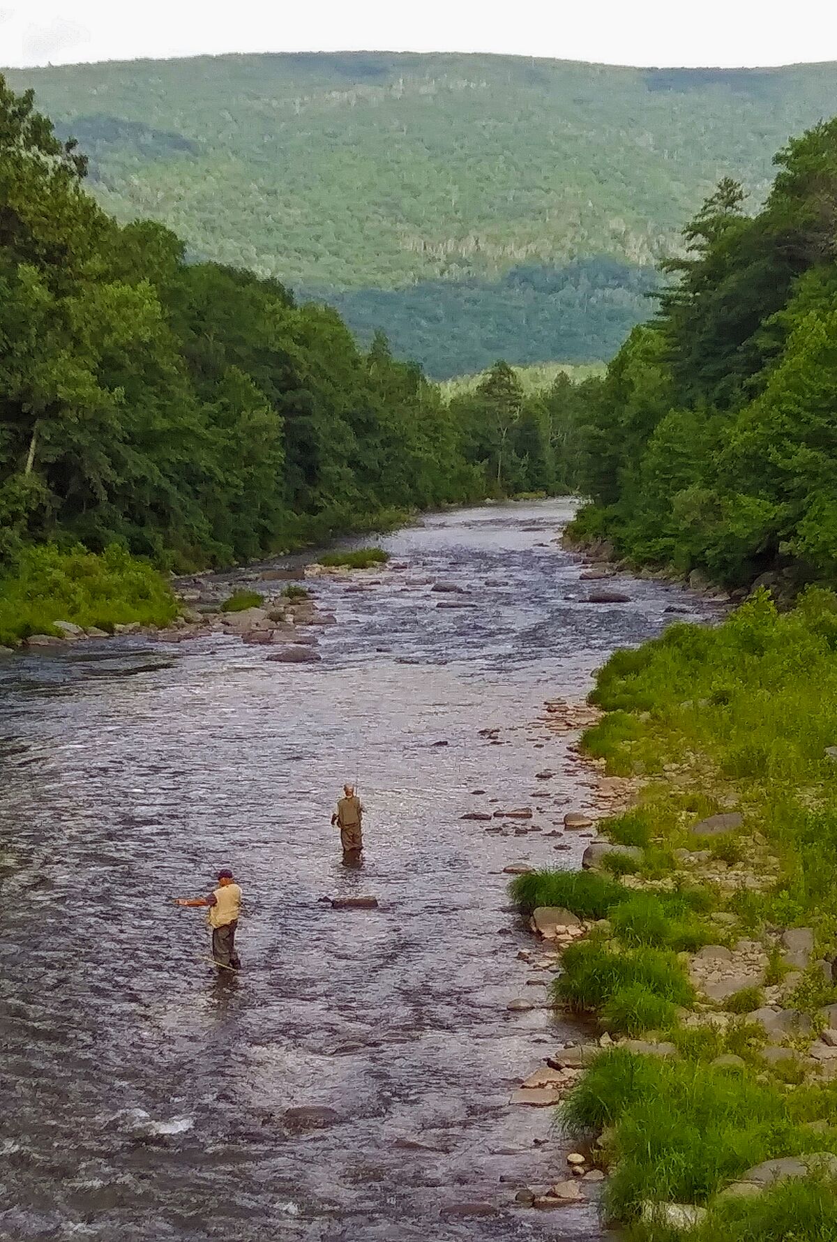 ملفFishermen in Esopus Creek from Woodland Valley Road, Phoenicia, NY