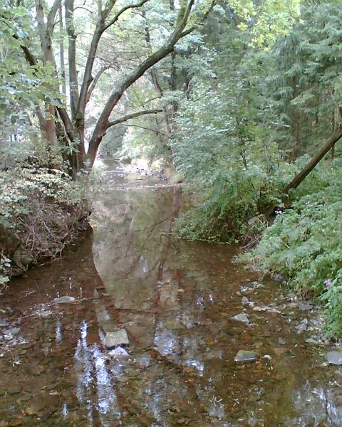 ملف:Lenne bei Wickensen.jpg