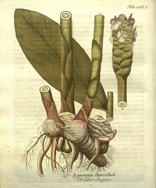 ملف:N396 w1150 (29168227254).jpg