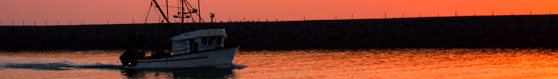ملف:Oxnard Banner.png