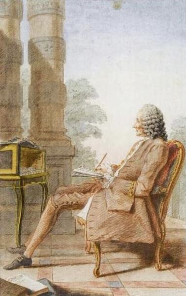 ملف:Rameau Carmontelle.JPG