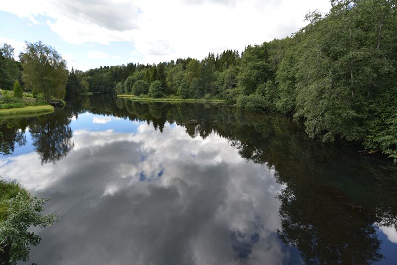 ملف:Risa ved Dal.JPG