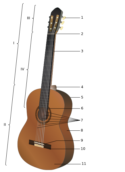 ملف:Acoustic guitar numbered.svg