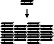 The assembly of a DX array. Left, schematic diagram. Each bar represents a double-helical domain of DNA, with the shapes representing complementary sticky ends. The DX complex at top will combine with other DX complexes into the two-dimensional array shown at bottom.[2] Right, an atomic force microscopy image of the assembled array. The individual DX tiles are clearly visible within the assembled structure. The field is 150 nm across.