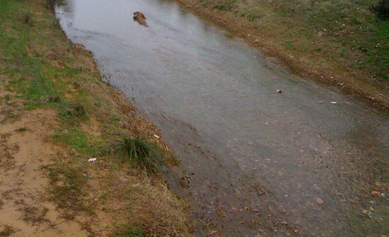 ملف:Pansart 2 sans doigt.jpg