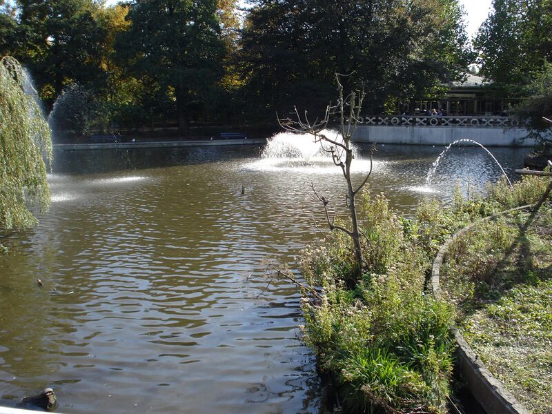 ملف:Rotterdam blijdorp vijver.jpg