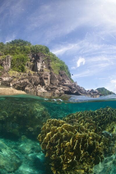 ملف:Apo Island Over-Under.jpg