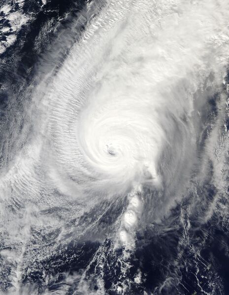 ملف:Nyatoh 2021-12-03 0400Z.jpg