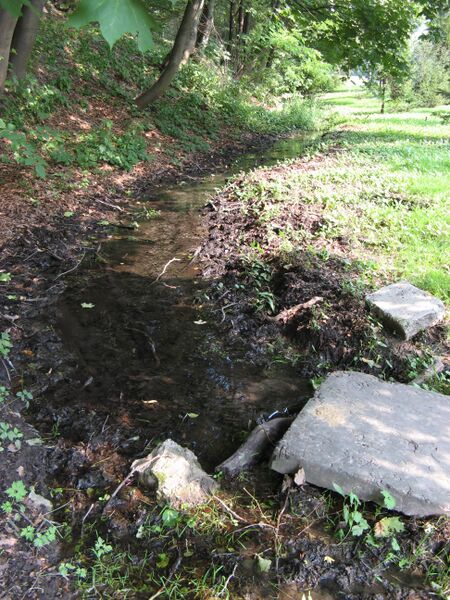 ملف:Park Pohulanka.JPG