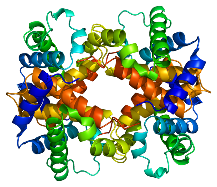 ملف:Protein HBA1 PDB 1a00.png