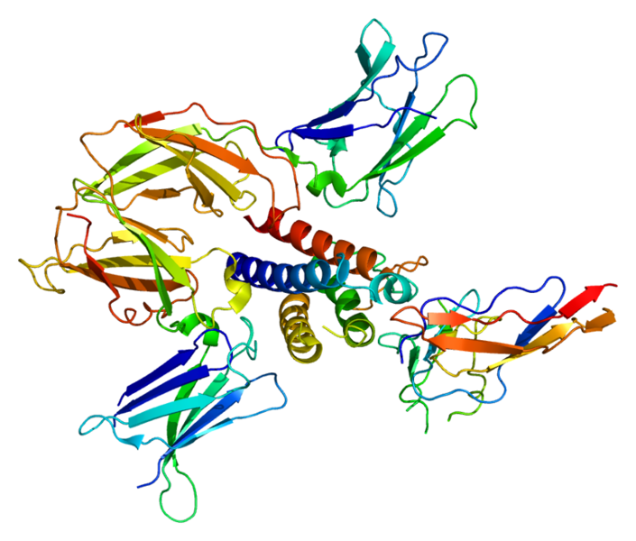 ملف:Protein IL2RB PDB 2b5i.png