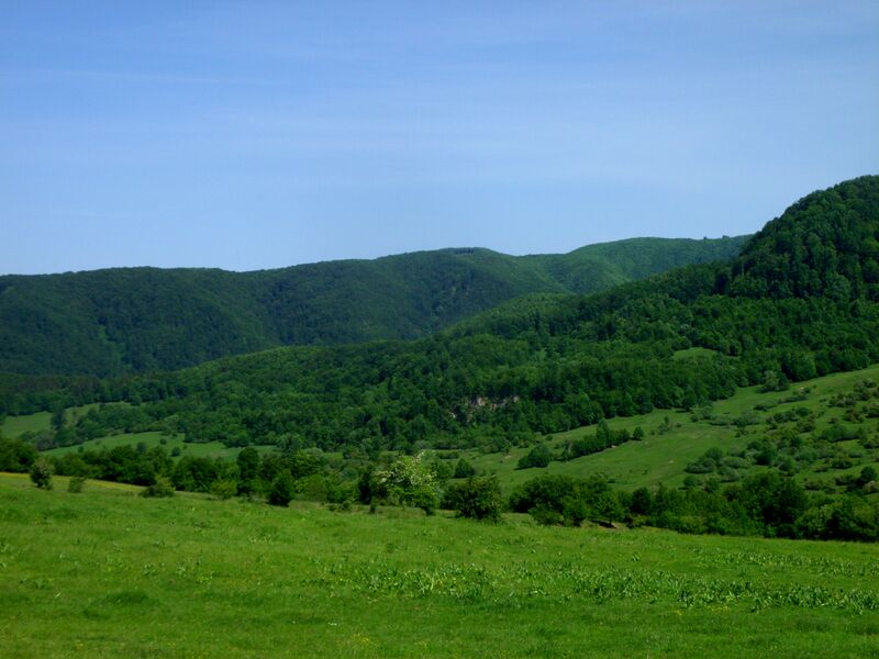 ملف:RO Iuhod valley summer.jpg