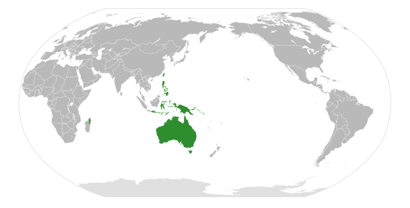 ملف:Acacia Distribution Map.svg
