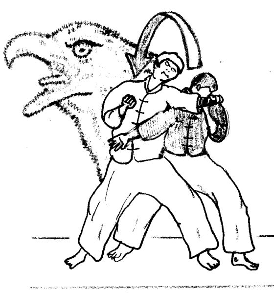ملف:Aigle2.jpg