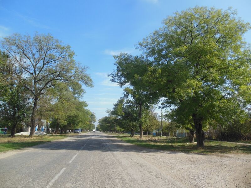 ملف:MuskatnoeCr 14.jpg