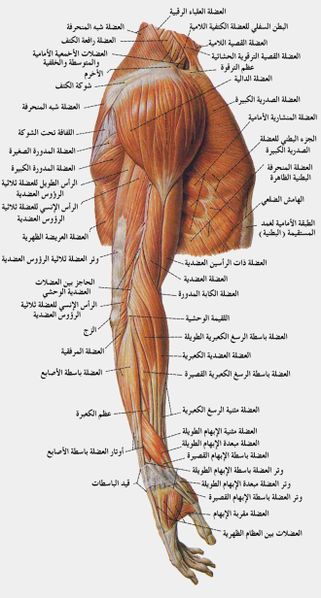 ملف:Part2.jpg