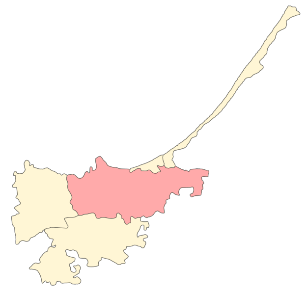 ملف:Zelenogradsky rayon Kovrovskoe SP.svg