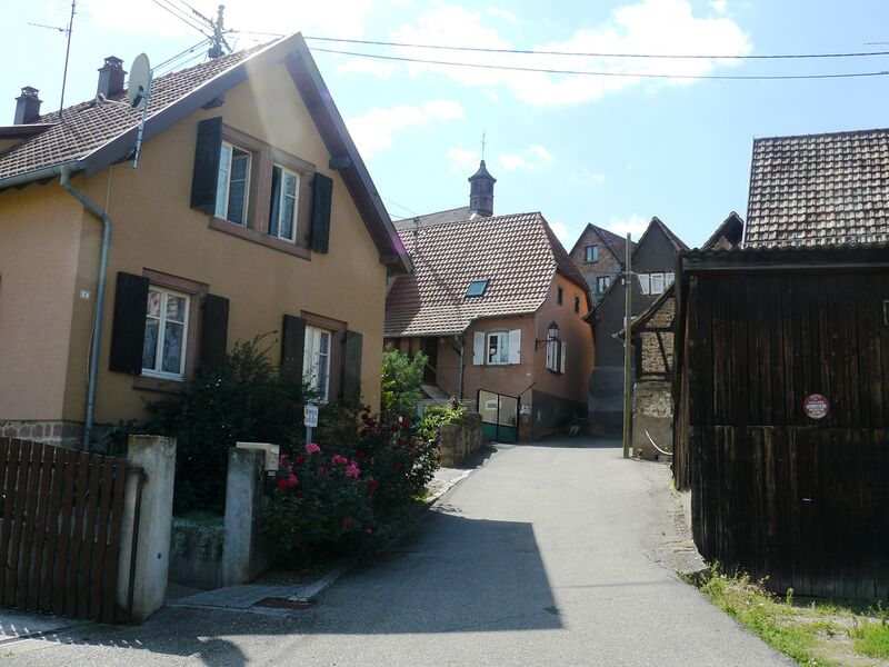 ملف:Dieffenthal 019.JPG