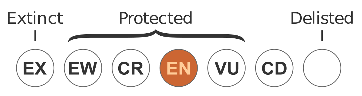 ملف:Status EPBC EN.svg - المعرفة